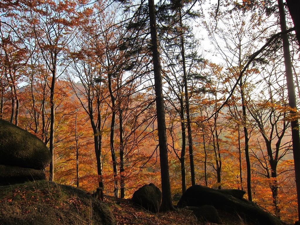 Penzion Bazalka Jablonec nad Nisou Eksteriør bilde